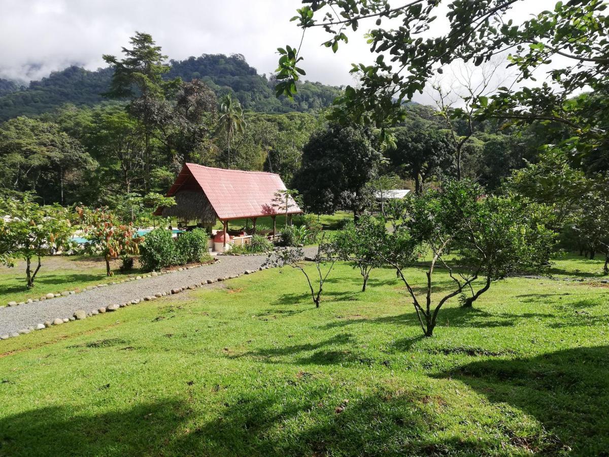 Hacienda Mil Bellezas - Private 40Ha Jungle Reserve เกโปส ภายนอก รูปภาพ