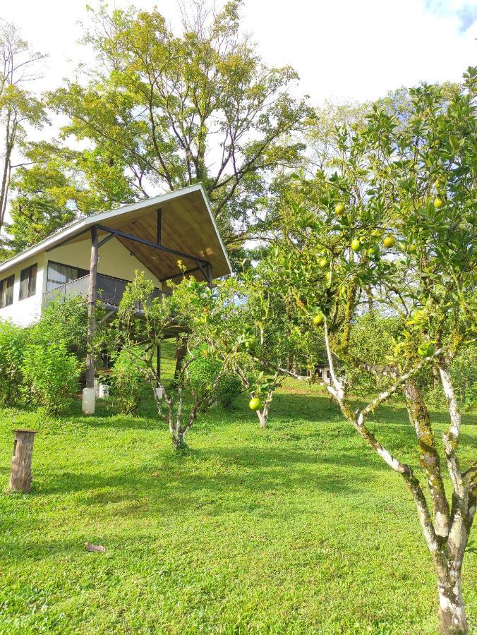 Hacienda Mil Bellezas - Private 40Ha Jungle Reserve เกโปส ห้อง รูปภาพ
