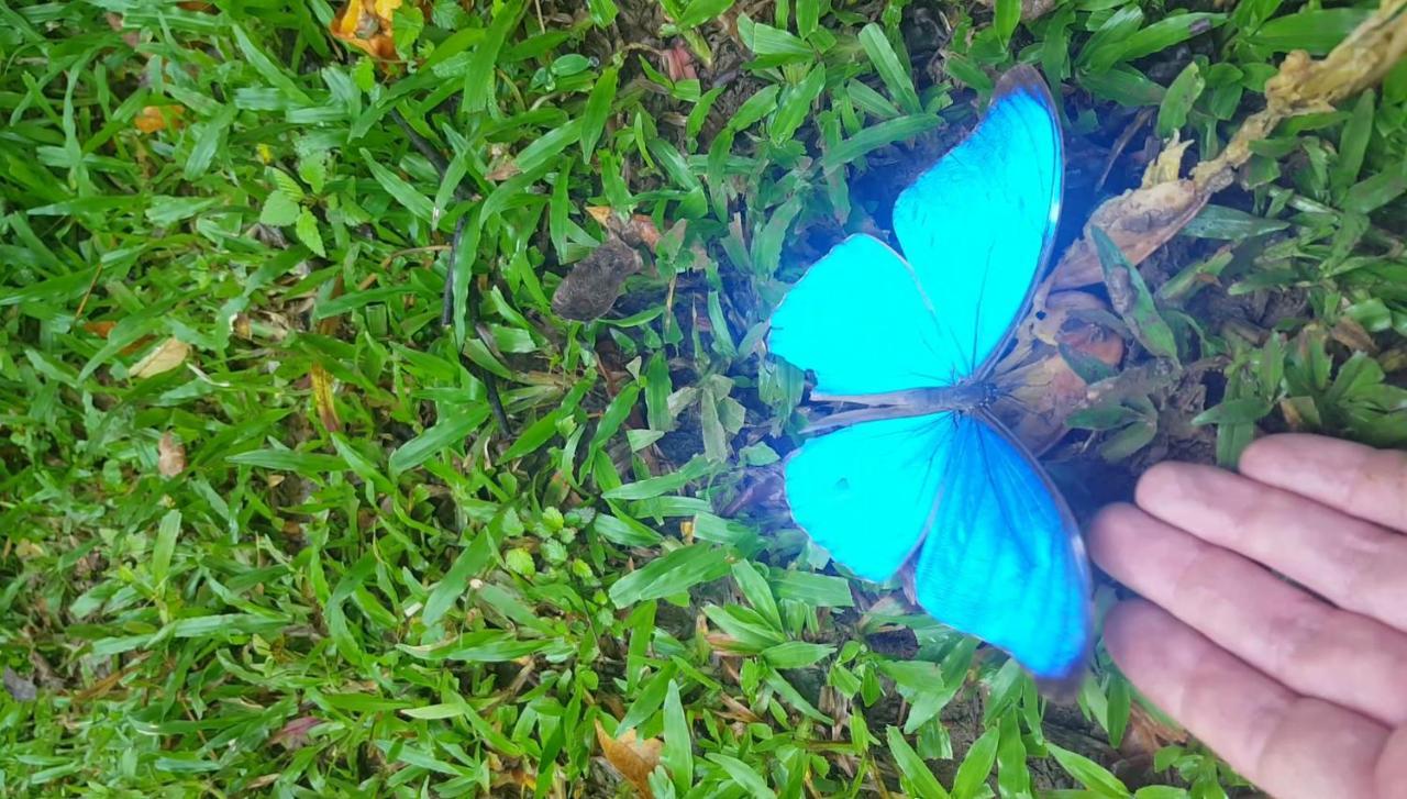 Hacienda Mil Bellezas - Private 40Ha Jungle Reserve เกโปส ภายนอก รูปภาพ