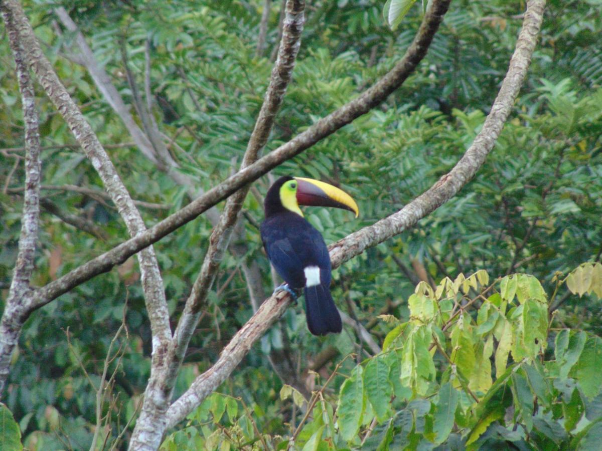 Hacienda Mil Bellezas - Private 40Ha Jungle Reserve เกโปส ภายนอก รูปภาพ