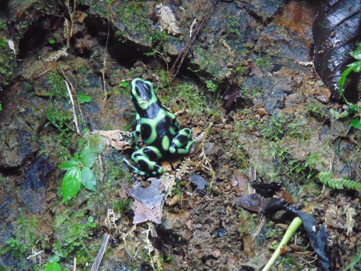 Hacienda Mil Bellezas - Private 40Ha Jungle Reserve เกโปส ภายนอก รูปภาพ