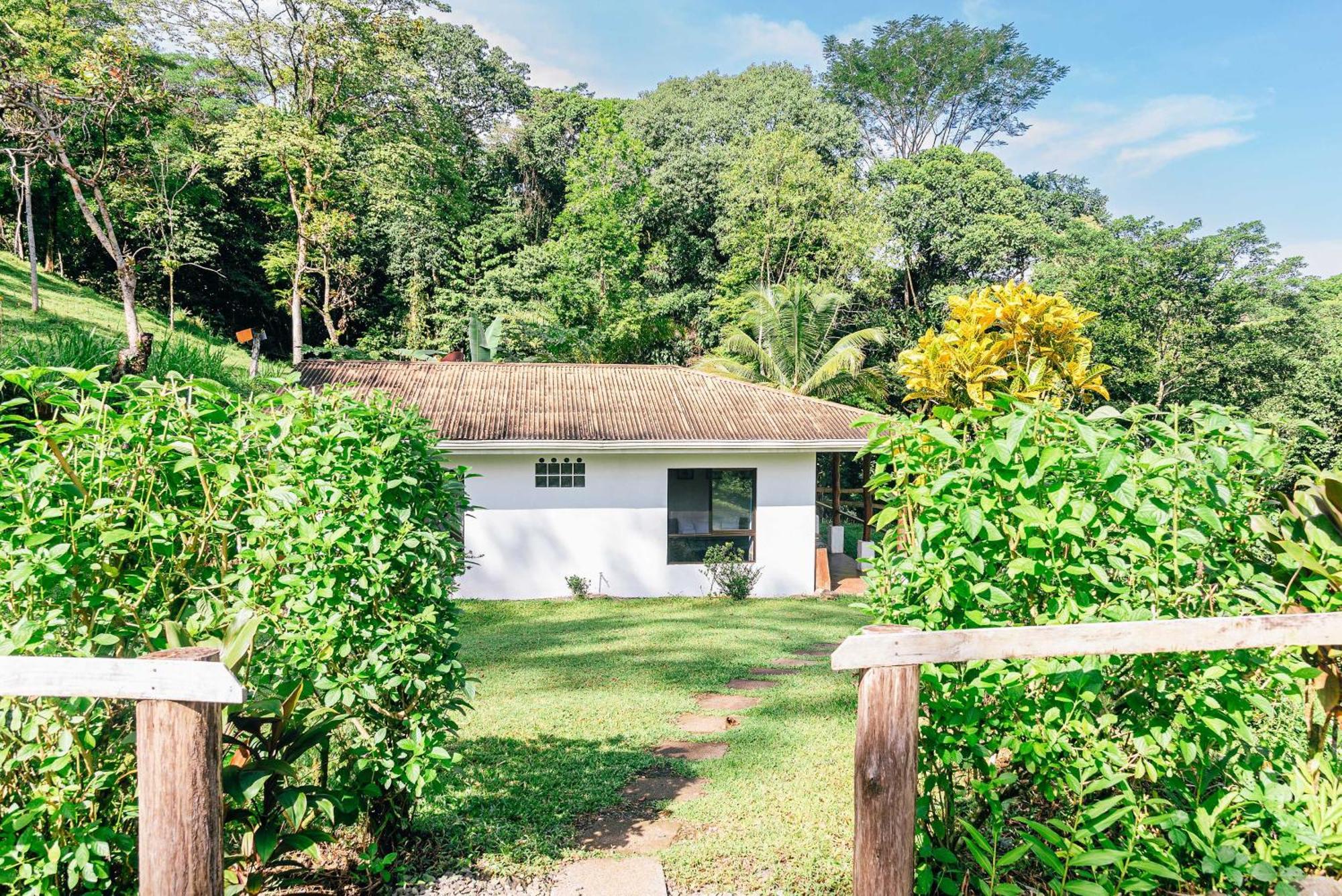 Hacienda Mil Bellezas - Private 40Ha Jungle Reserve เกโปส ห้อง รูปภาพ