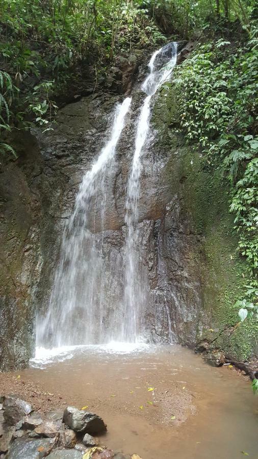 Hacienda Mil Bellezas - Private 40Ha Jungle Reserve เกโปส ภายนอก รูปภาพ