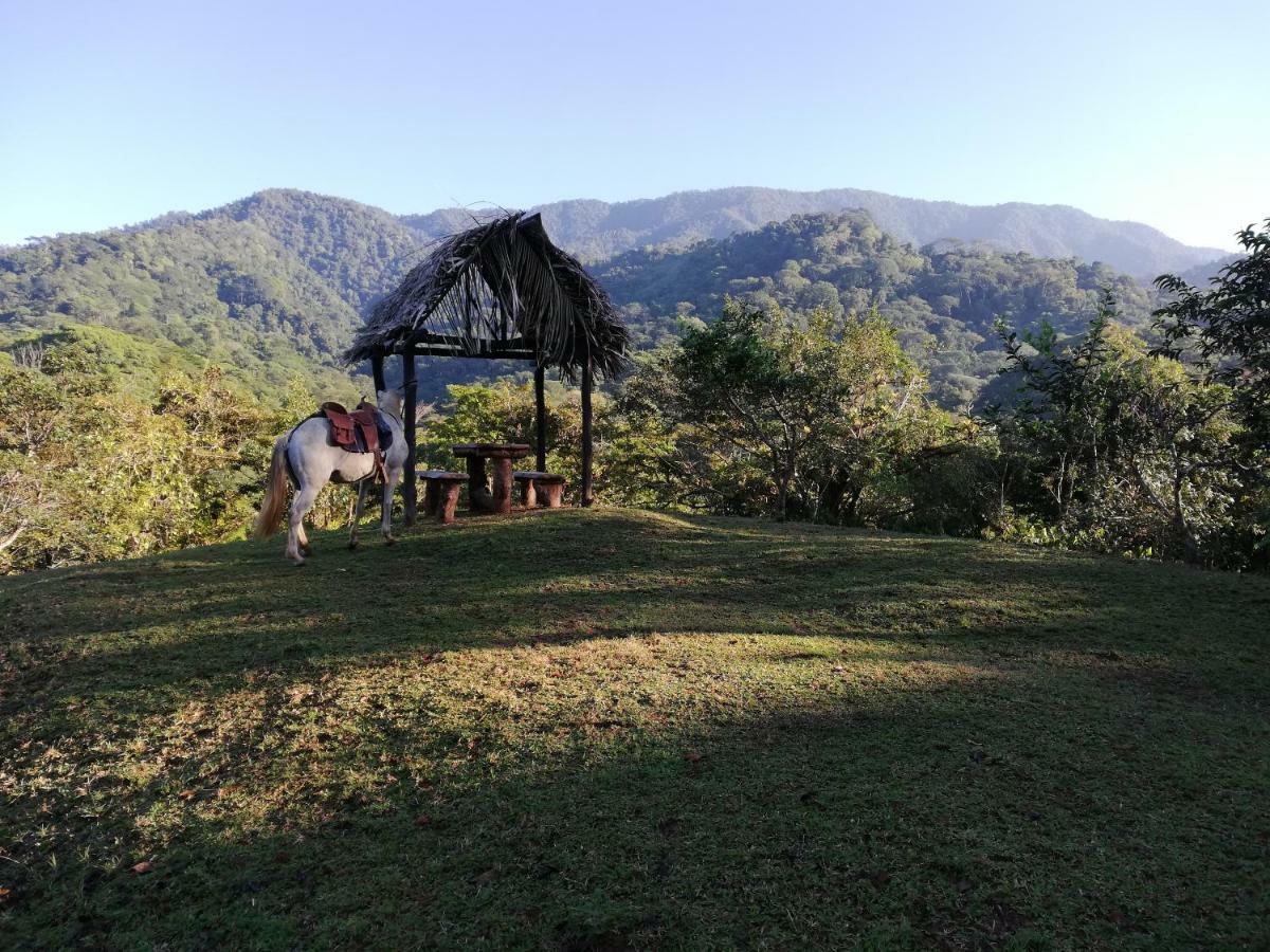 Hacienda Mil Bellezas - Private 40Ha Jungle Reserve เกโปส ภายนอก รูปภาพ