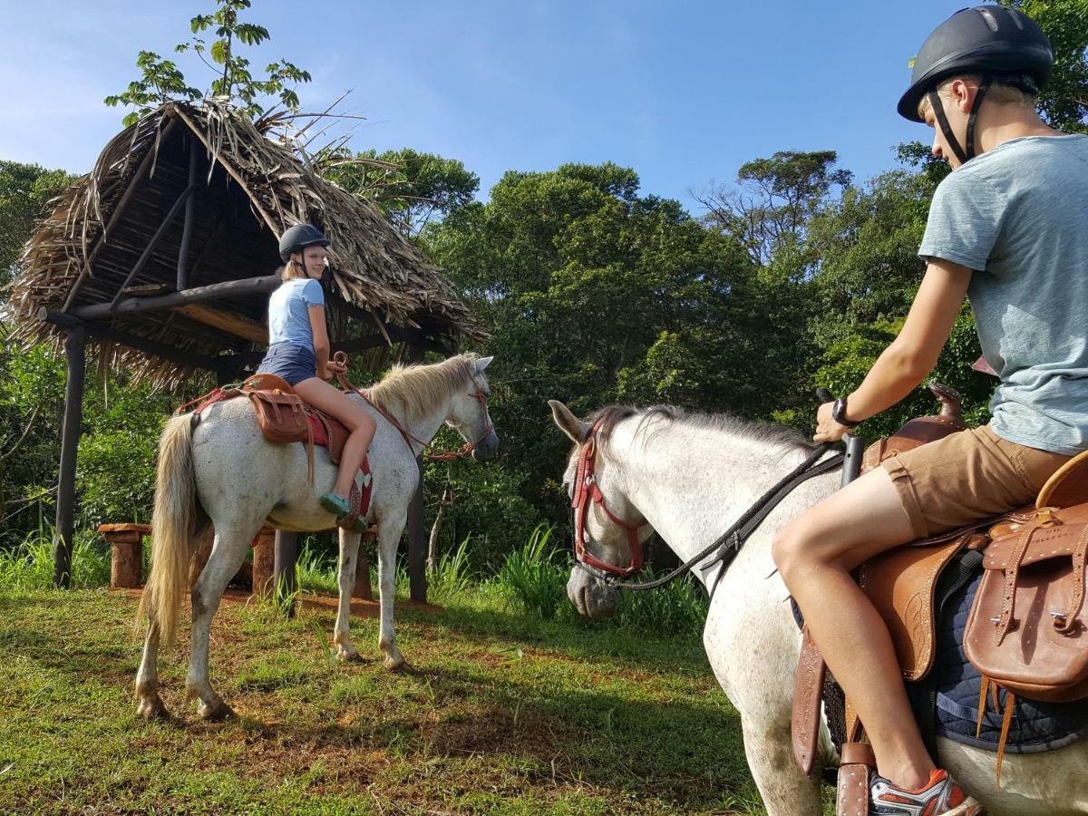 Hacienda Mil Bellezas - Private 40Ha Jungle Reserve เกโปส ภายนอก รูปภาพ